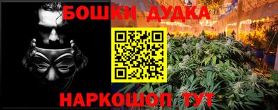 молекула духа Будённовск