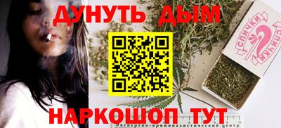 молекула духа Будённовск