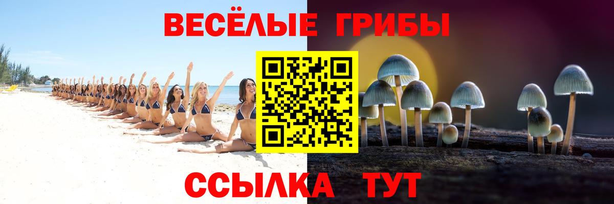 Галлюциногенные грибы MAGIC MUSHROOMS  Псилоцибиновые грибы Psilocybe  Нижний Новгород  Вход с VPN 